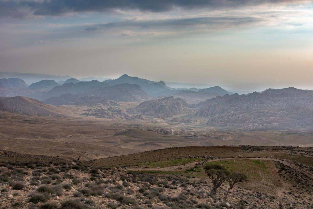 Bedouin Pink Ecohouse Bed & Breakfast Wadi Musa Eksteriør bilde